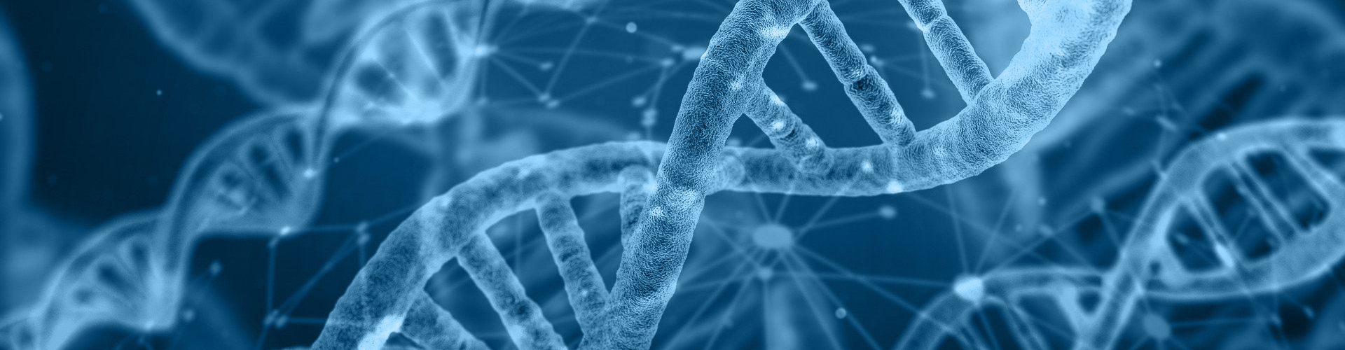 DNA Stränge in blauer Umgebung